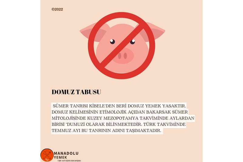Domuz Tapusu